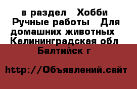  в раздел : Хобби. Ручные работы » Для домашних животных . Калининградская обл.,Балтийск г.